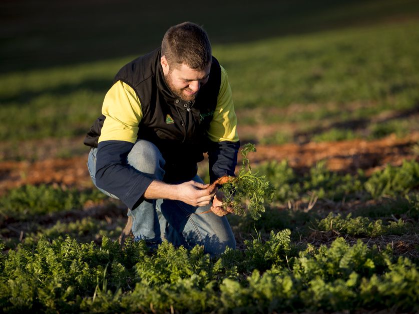 Des formations en horticulture, maraîchage et pépinière