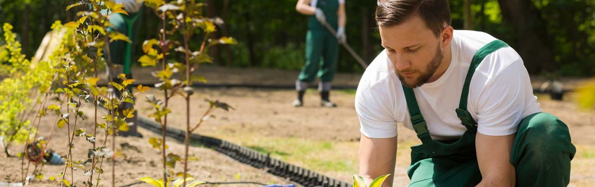 Programme de formation du CAP Jardinier Payasage