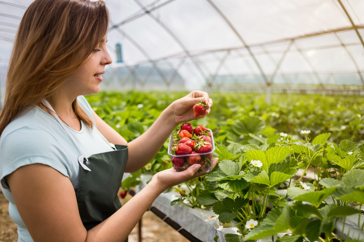 Programme de formation du CAP Agriculture spécialité Horticulture